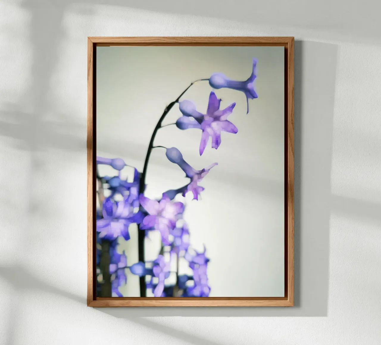Hyacinth alluminio dibond da Angelo Cerantola