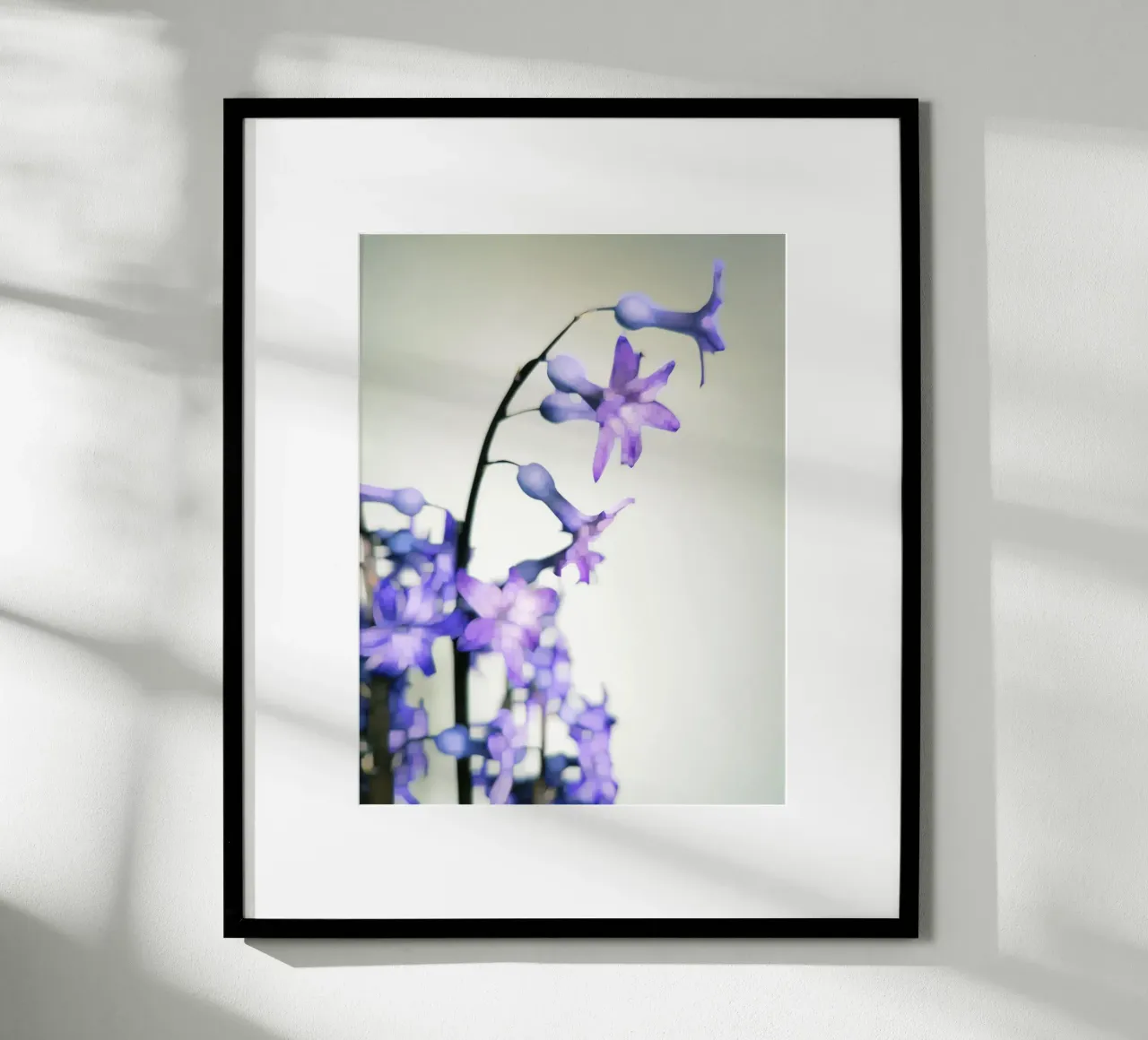 Hyacinth poster da Angelo Cerantola