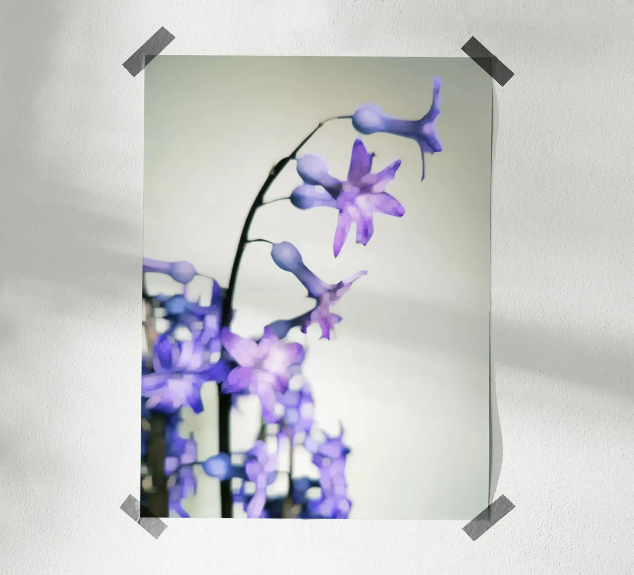 Hyacinth poster da Angelo Cerantola