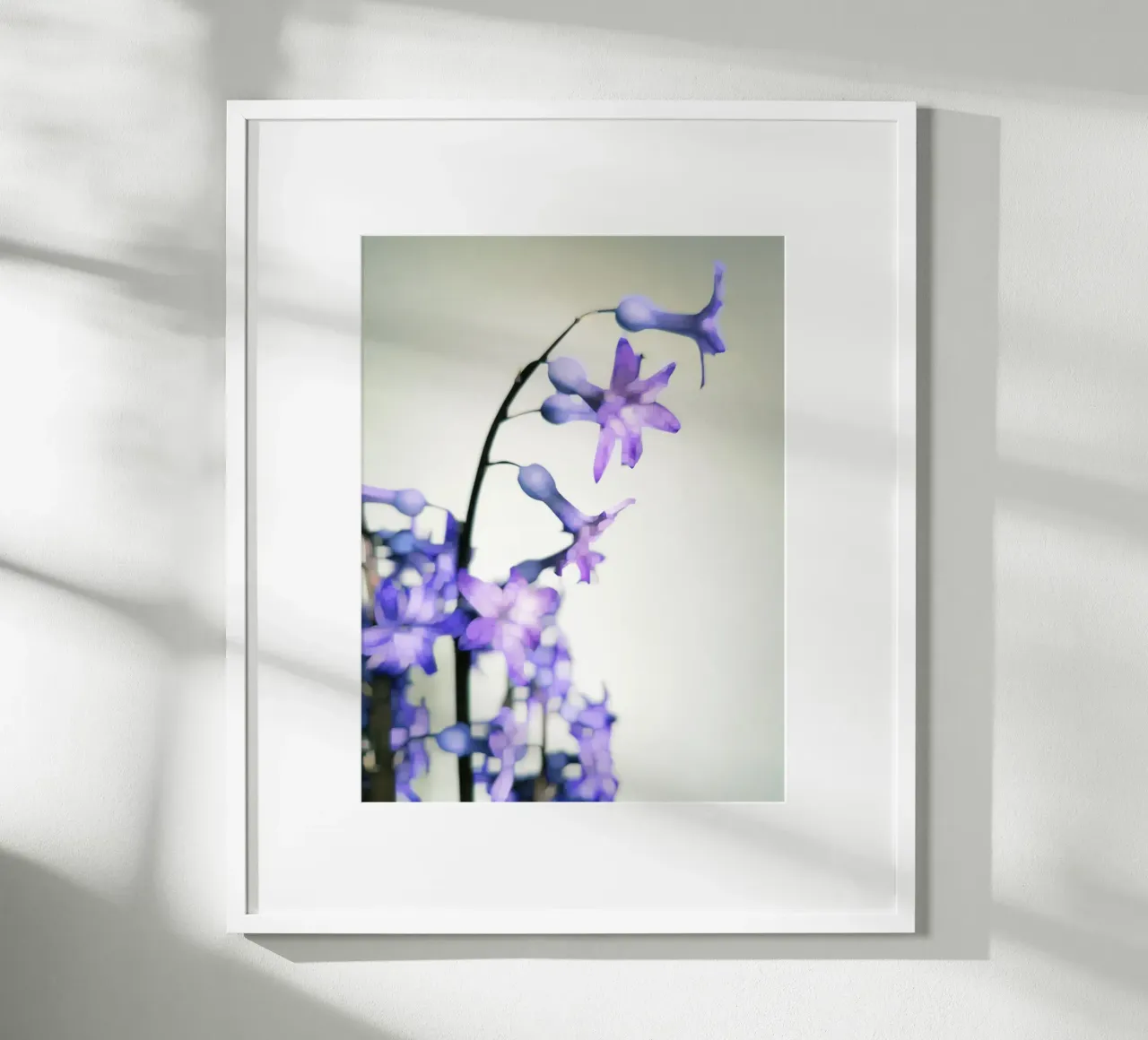 Hyacinth poster da Angelo Cerantola