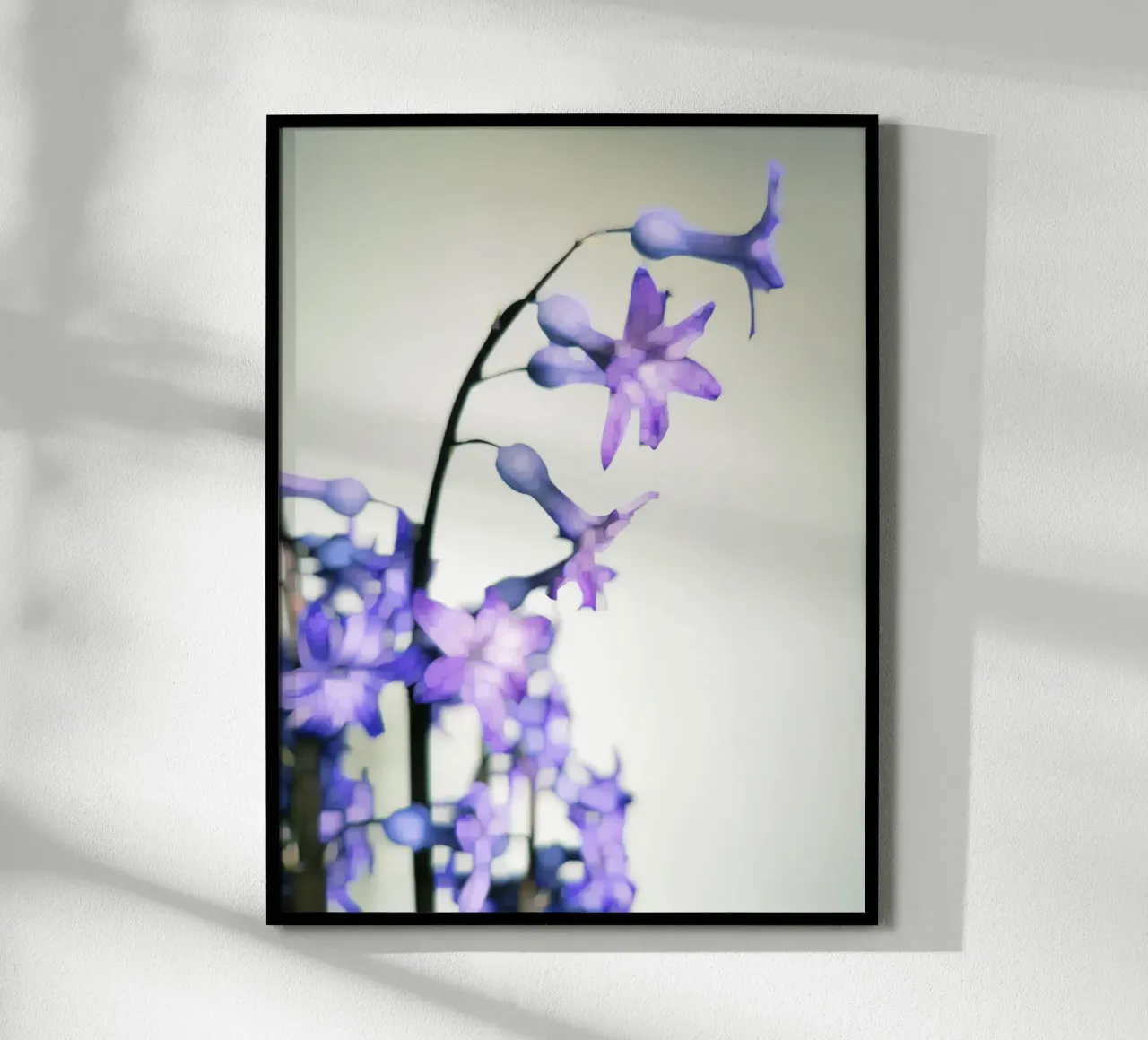Hyacinth carta hahnemühle da Angelo Cerantola