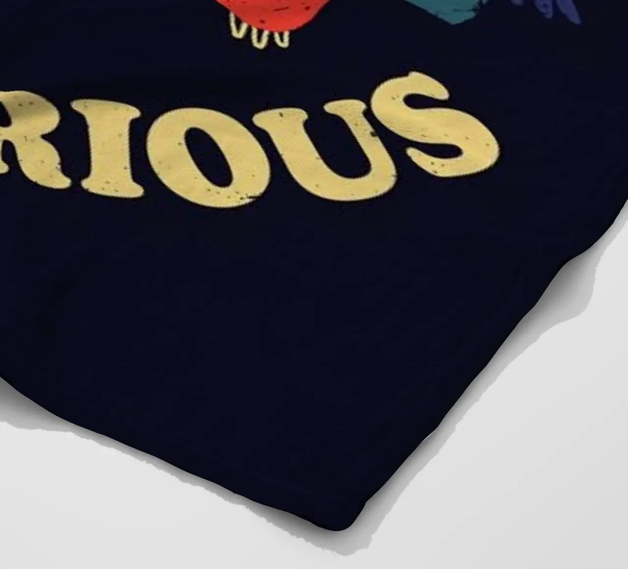 Not Fast, Not Furious coperta in pile da DinoMike