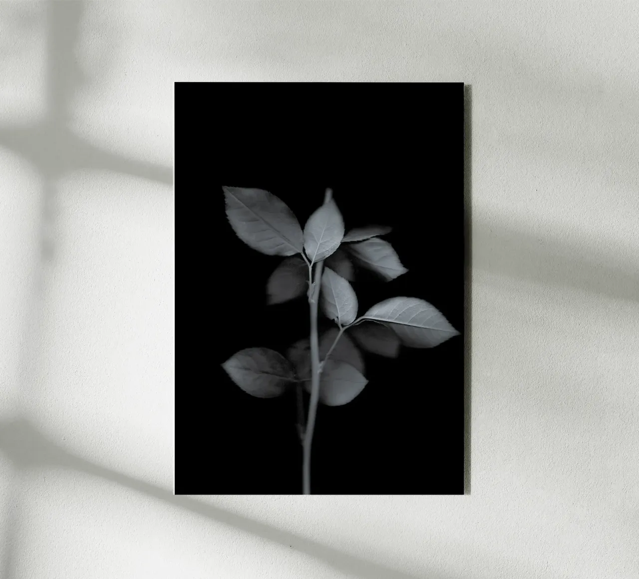 The Art of Destruction alluminio dibond da Muted Blossom