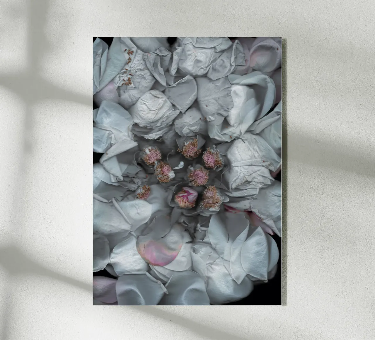 The Art of Destruction I plexiglass da Muted Blossom