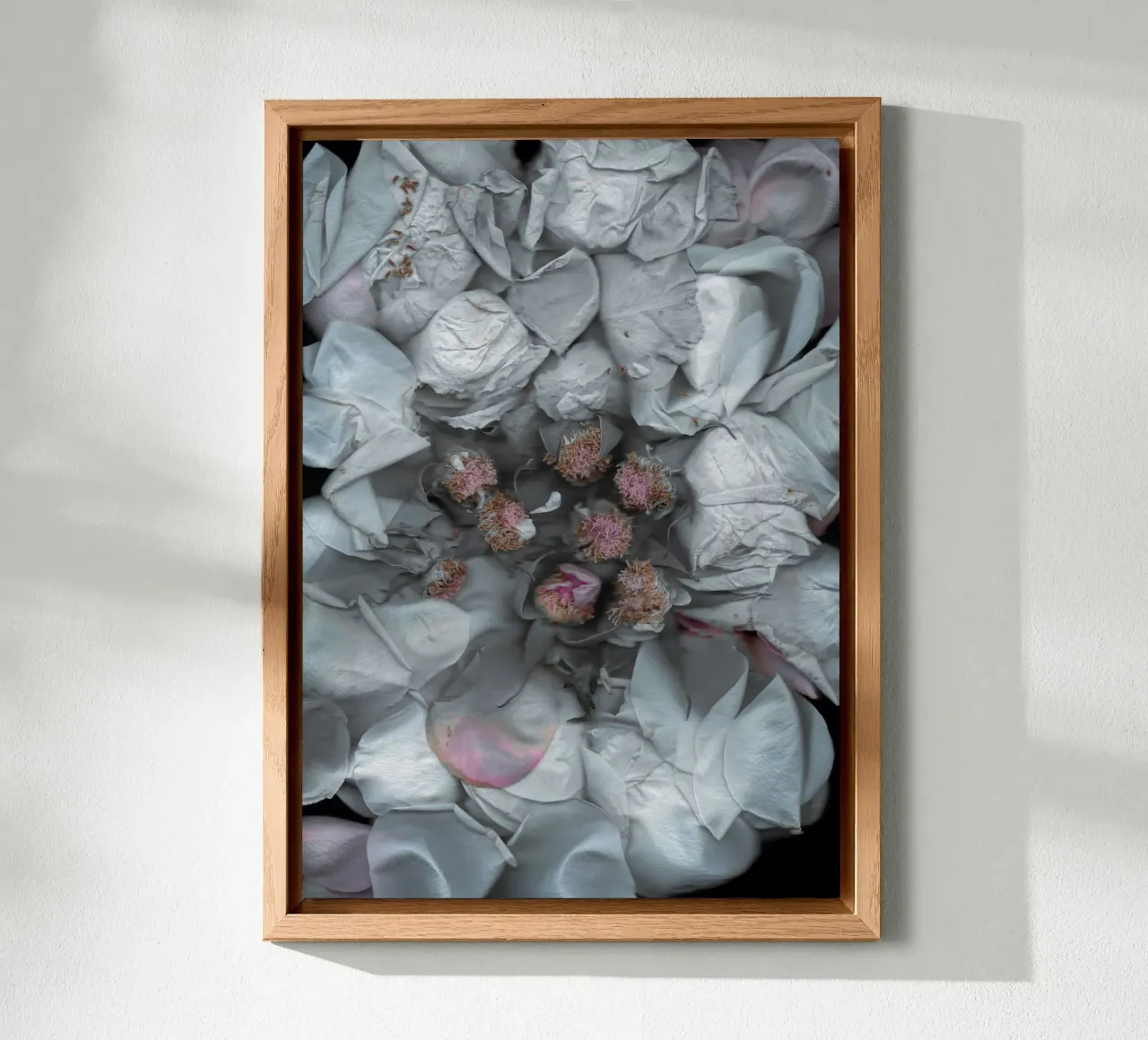 The Art of Destruction I alluminio dibond da Muted Blossom