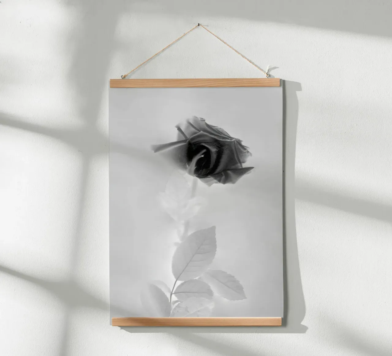 BW Rose poster da Muted Blossom