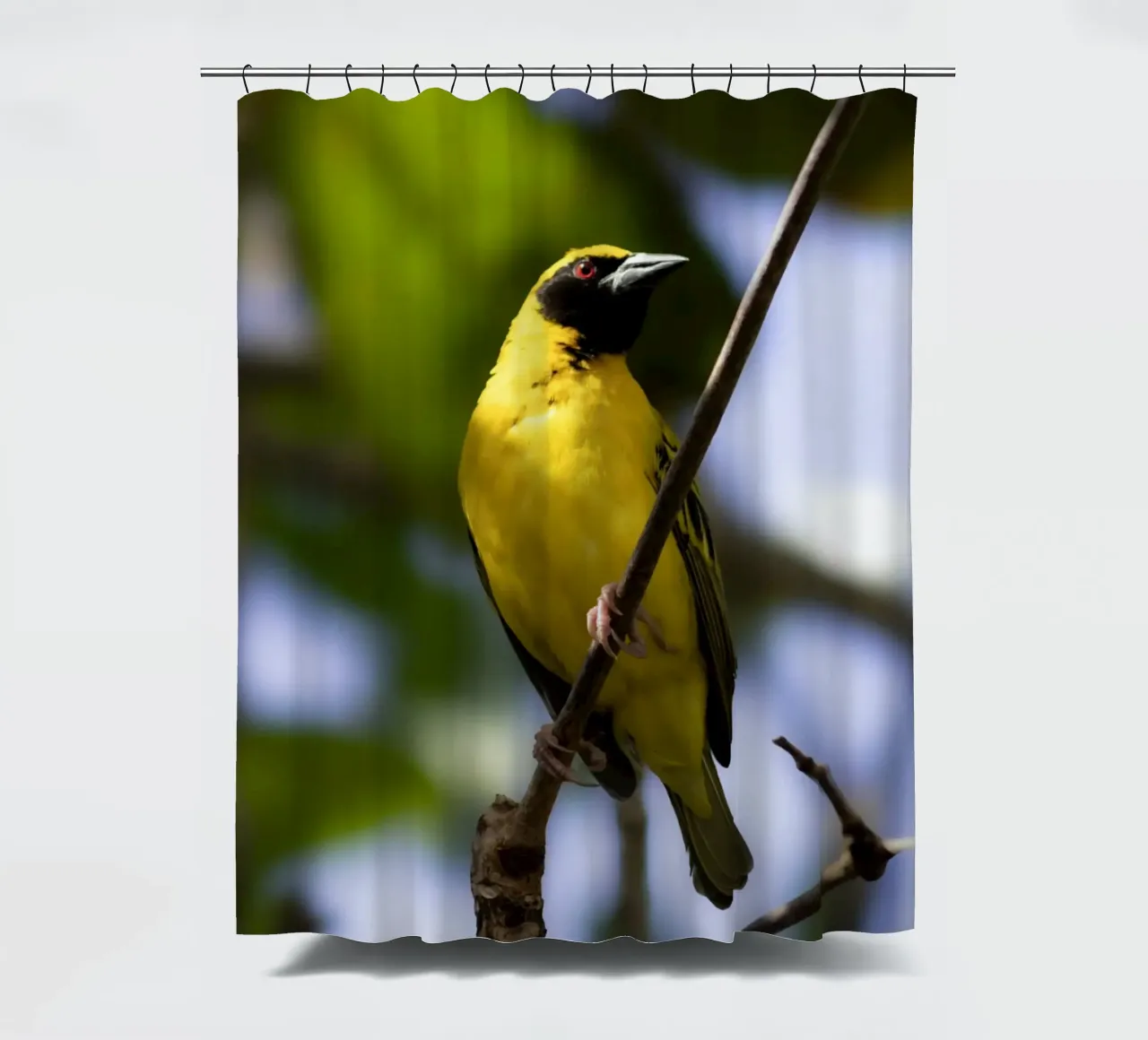 Gele vogel neergestreken op een tak douchegordijn van Léa Lefebvre Photography