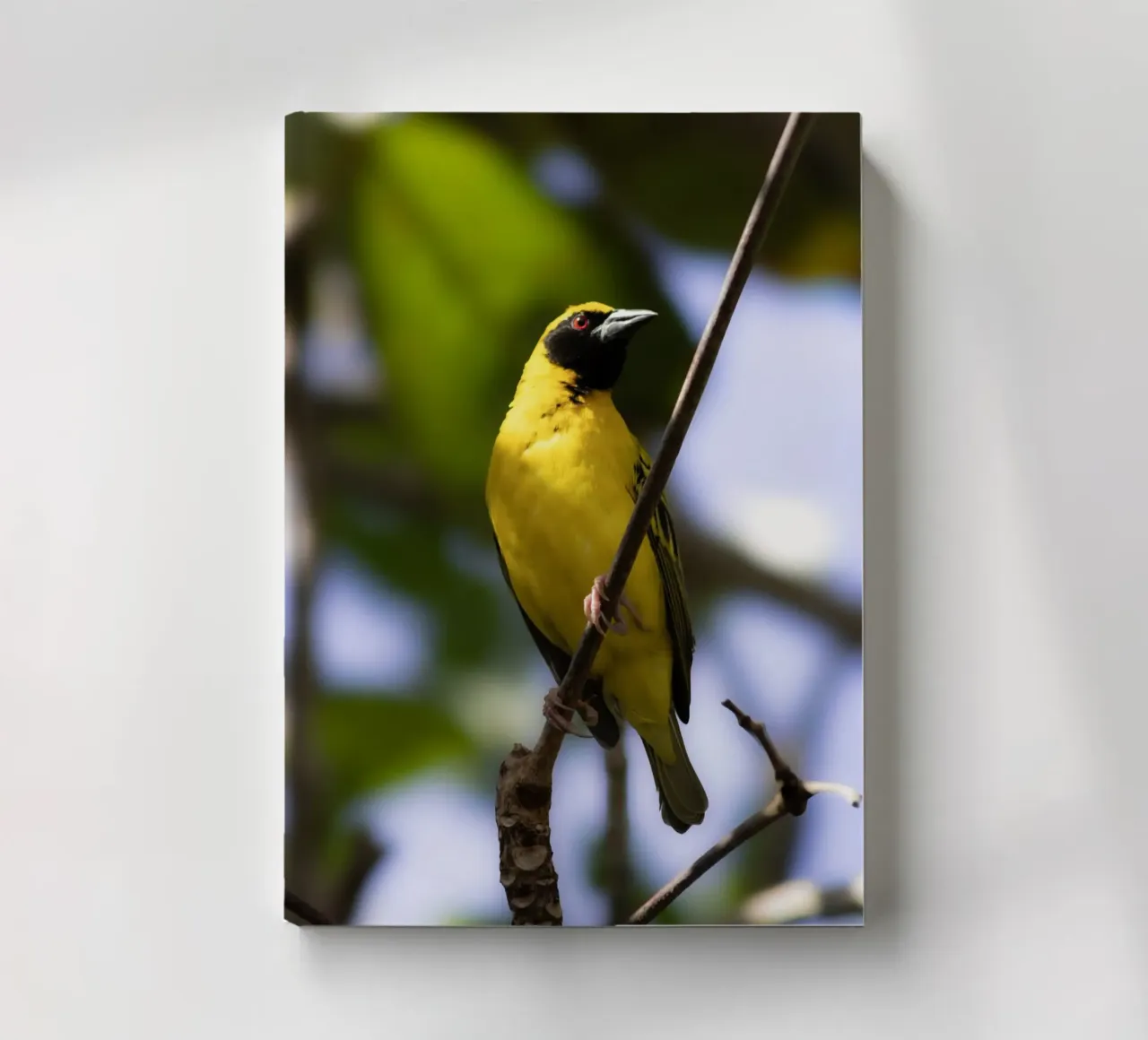 Yellow Bird perched on a branch notebook by Léa Lefebvre Photography