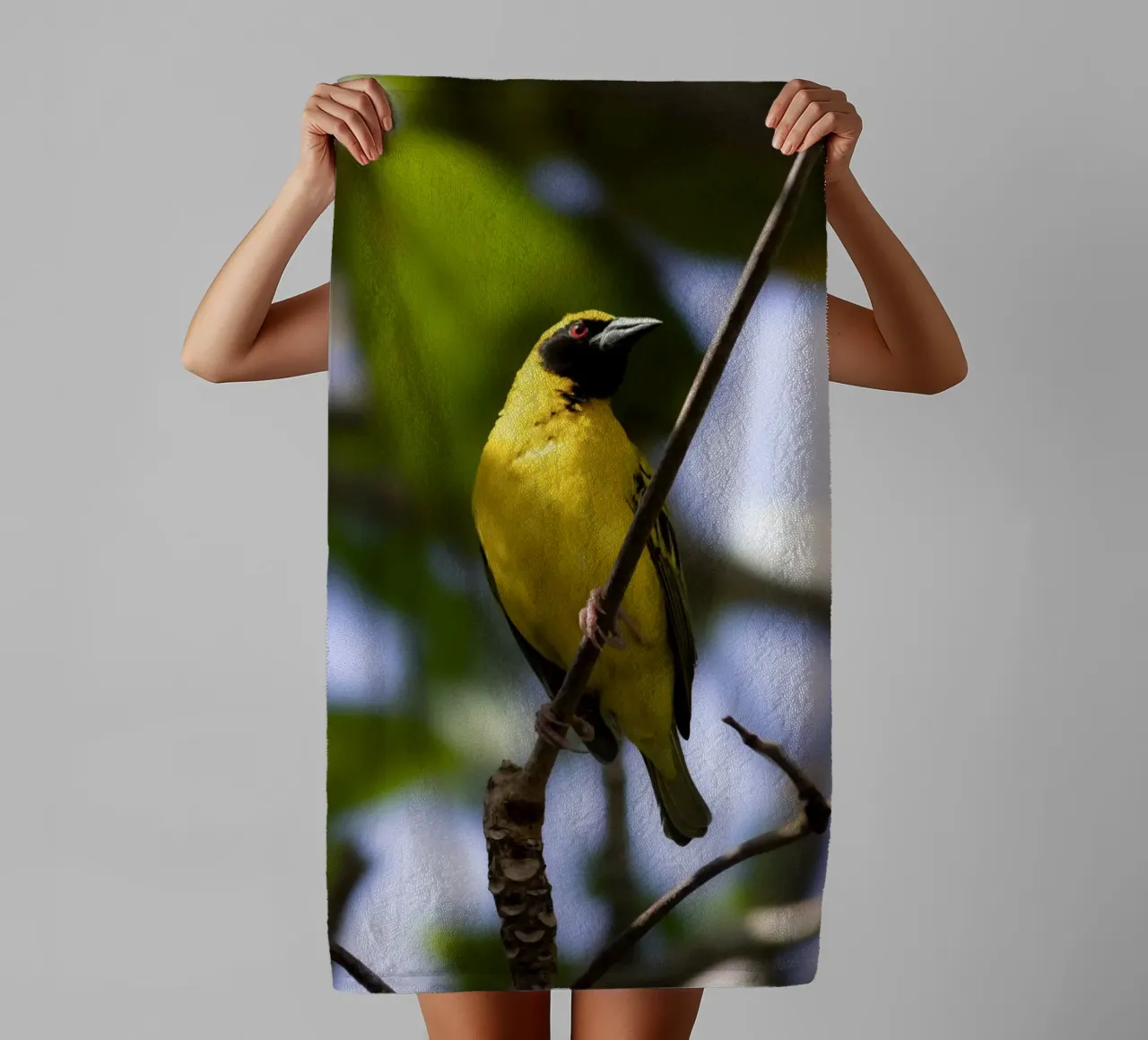 Yellow Bird perched on a branch towel by Léa Lefebvre Photography