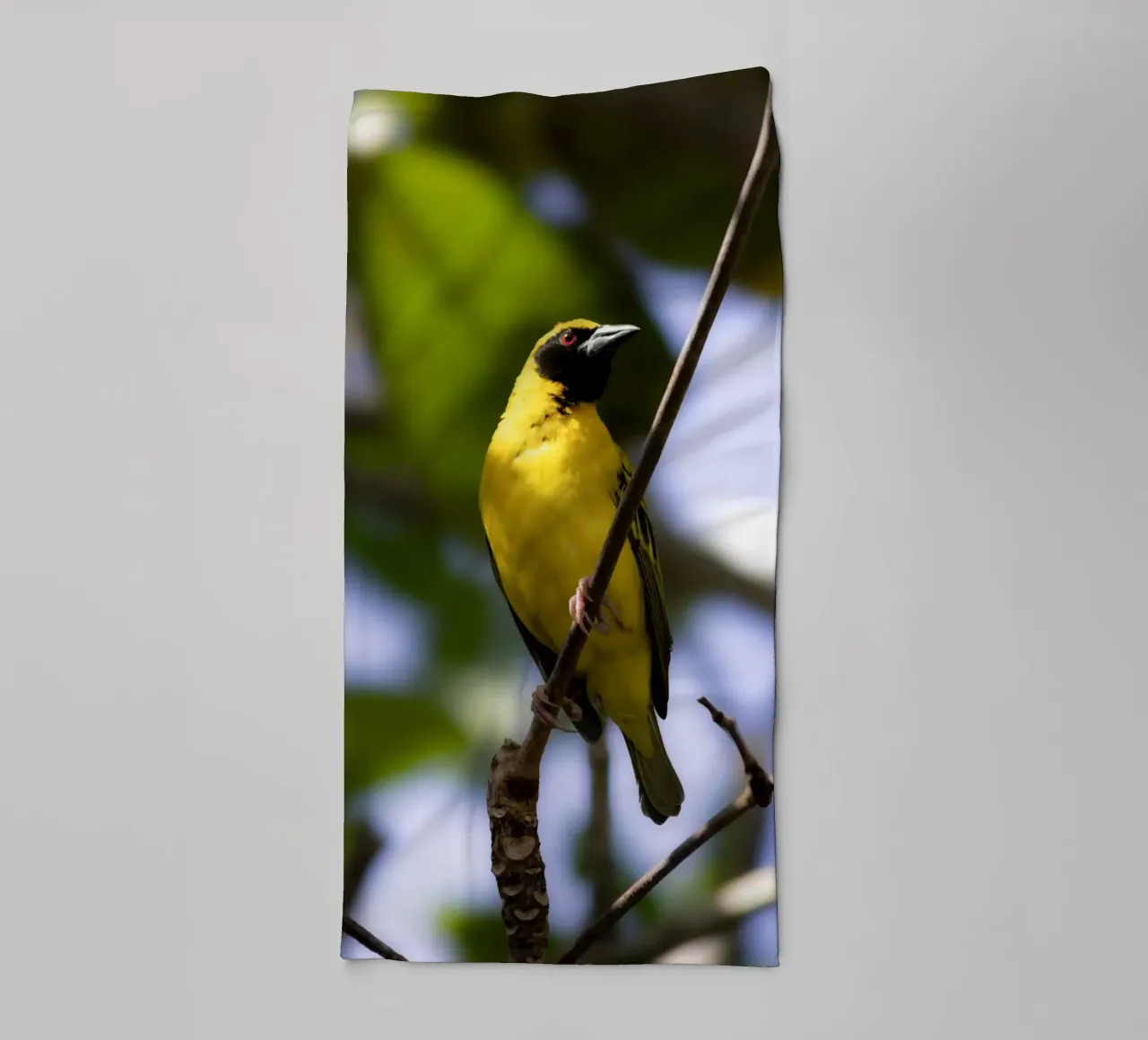 Yellow Bird perched on a branch towel by Léa Lefebvre Photography