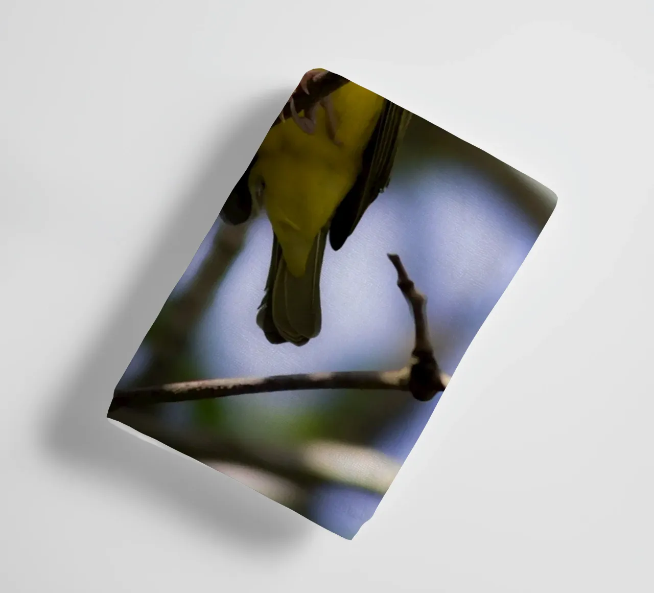 Yellow Bird perched on a branch towel by Léa Lefebvre Photography