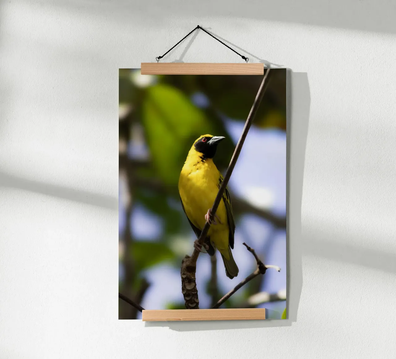 Uccello giallo appollaiato su un ramo poster con telaio in plastica da Léa Lefebvre Photography