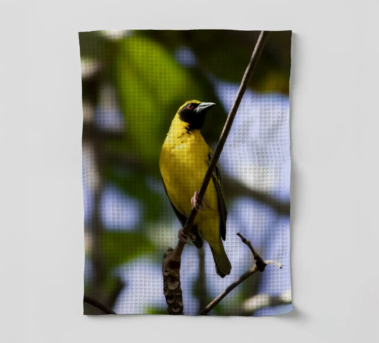 Oiseau jaune perché sur une branche torchon de Léa Lefebvre Photography