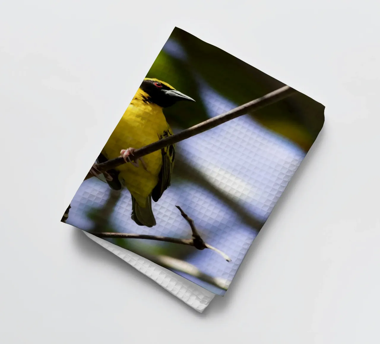 Oiseau jaune perché sur une branche torchon de Léa Lefebvre Photography