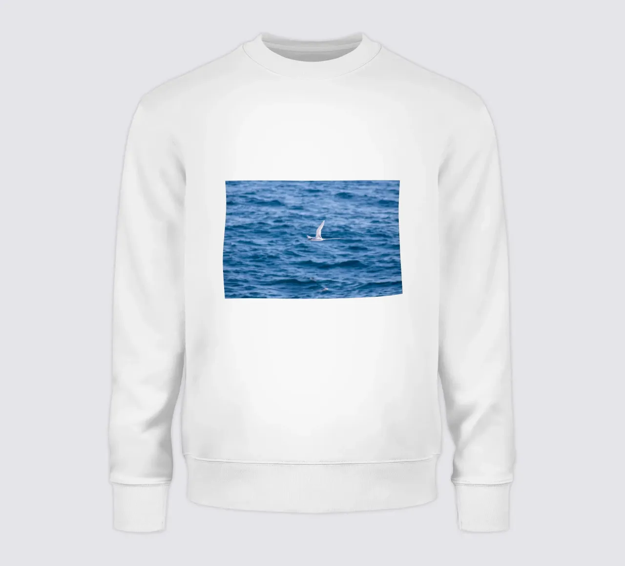 Weißer Vogel fliegt über das Meer 1 Sweatshirt von Léa Lefebvre Photography