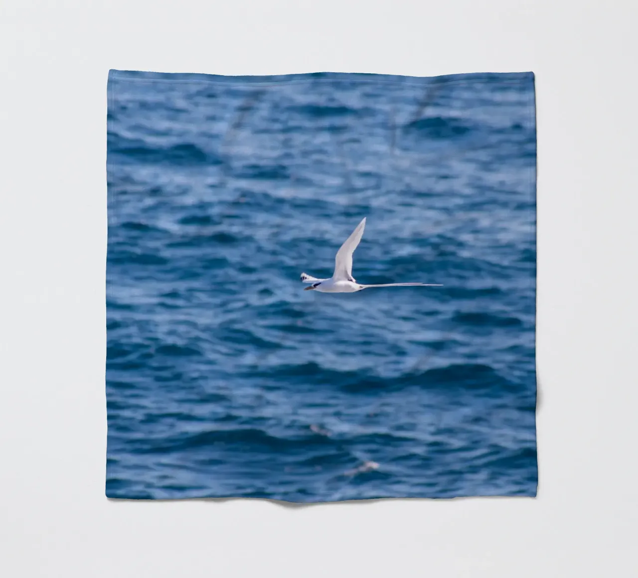 Uccello bianco in volo sul mare 1 coperta in pile da Léa Lefebvre Photography