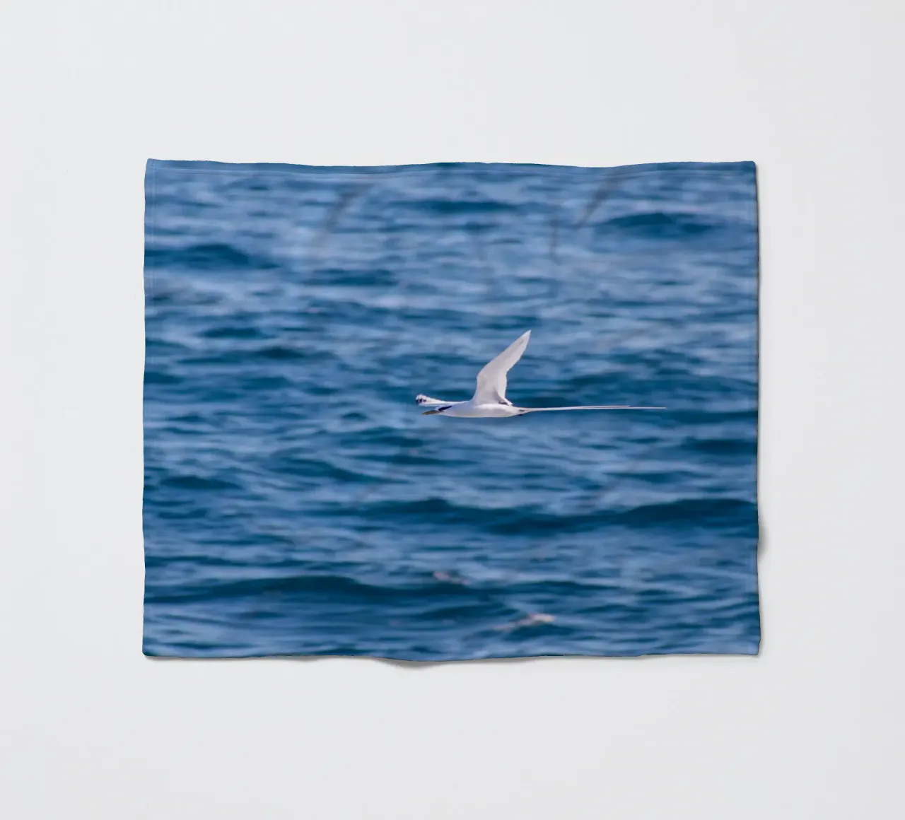 Uccello bianco in volo sul mare 1 coperta in pile da Léa Lefebvre Photography