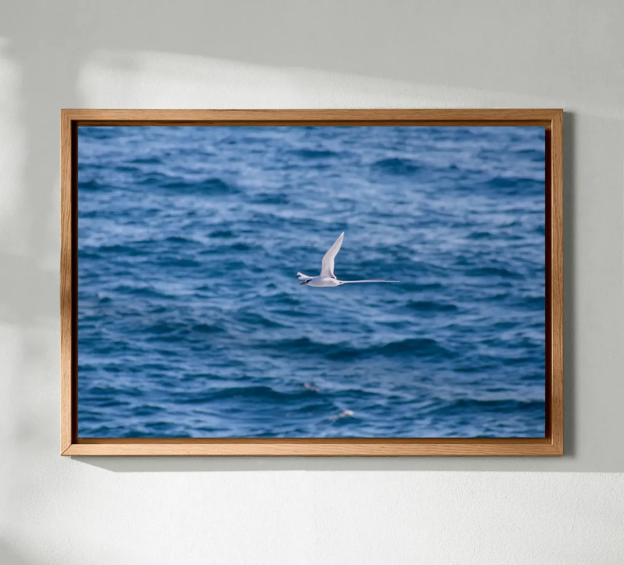 Uccello bianco in volo sul mare 1 tela con Cornice a cassetta da Léa Lefebvre Photography