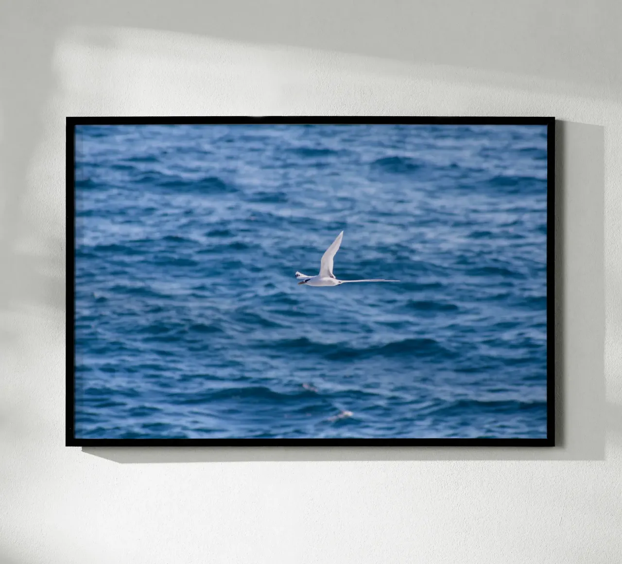 Uccello bianco in volo sul mare 1 carta hahnemühle da Léa Lefebvre Photography