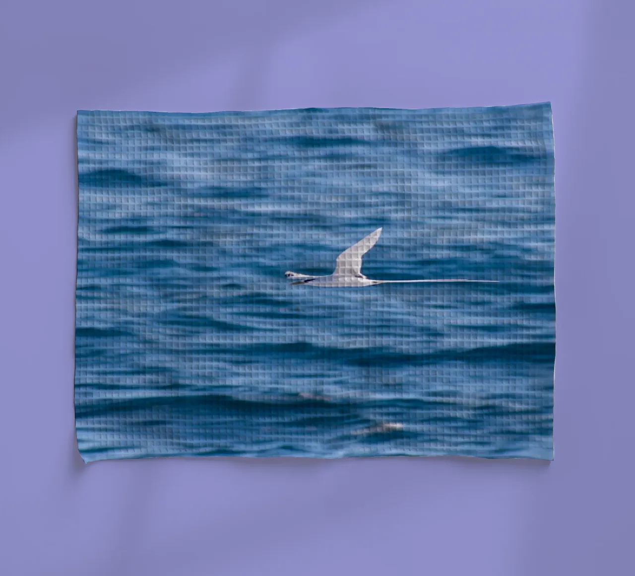 Uccello bianco in volo sul mare 1 canovaccio da cucina da Léa Lefebvre Photography
