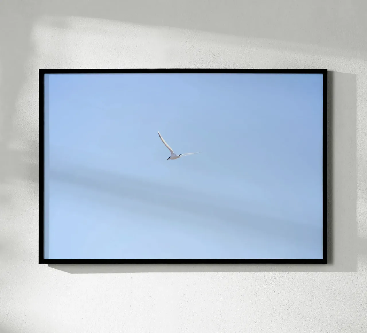 Uccello bianco che vola nel cielo blu poster con telaio in alluminio da Léa Lefebvre Photography