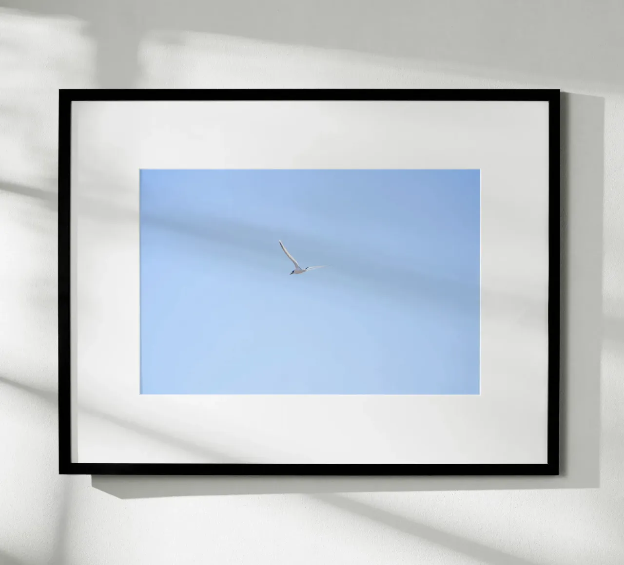 Uccello bianco che vola nel cielo blu poster con telaio in alluminio da Léa Lefebvre Photography