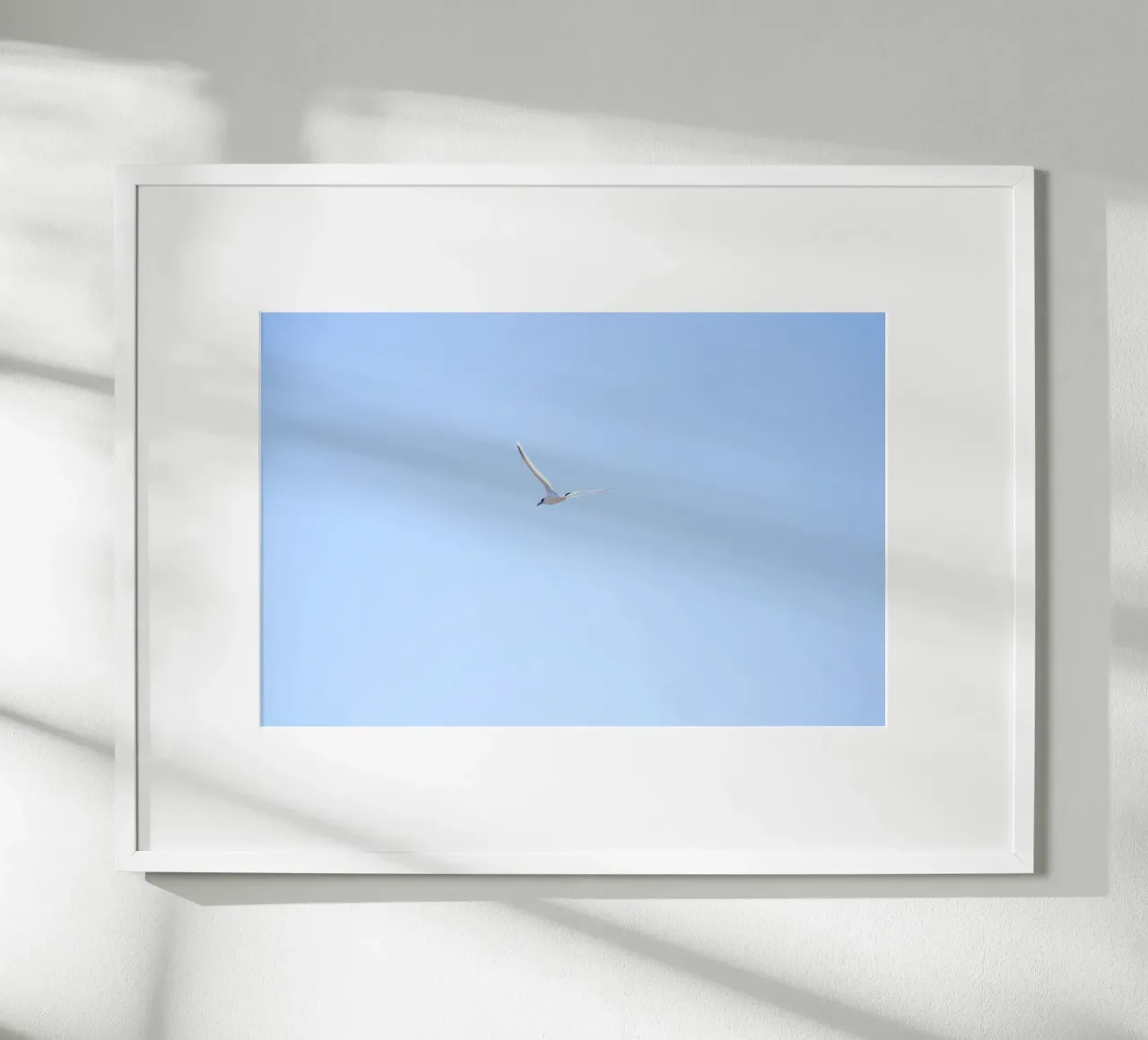 Uccello bianco che vola nel cielo blu poster con telaio in alluminio da Léa Lefebvre Photography
