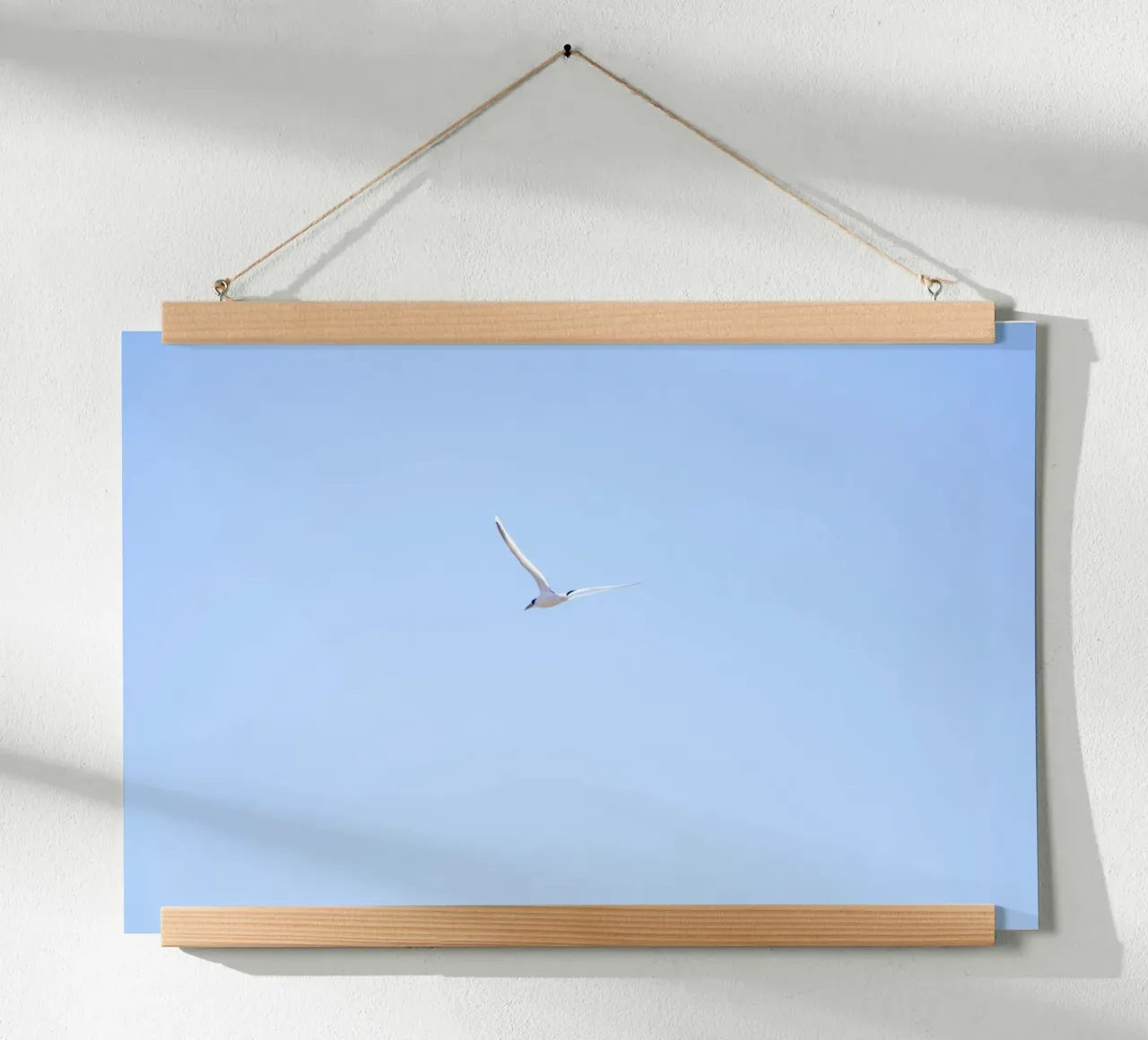 Uccello bianco che vola nel cielo blu poster con telaio in alluminio da Léa Lefebvre Photography