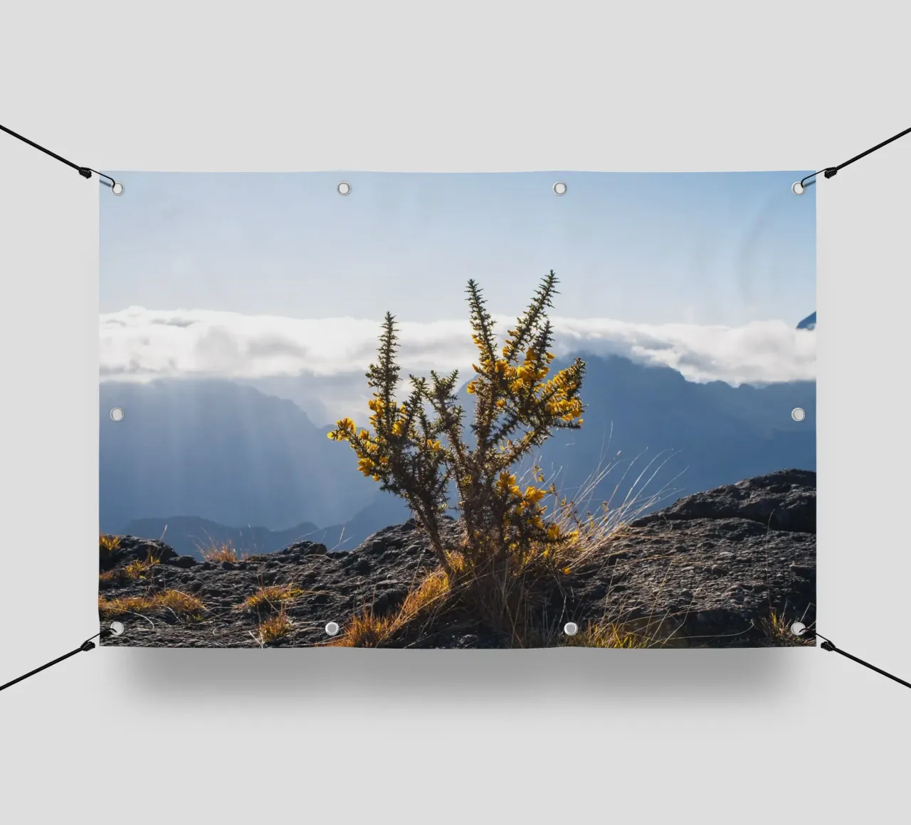 Mont Maïdo con fiori gialli telo in pvc da Léa Lefebvre Photography