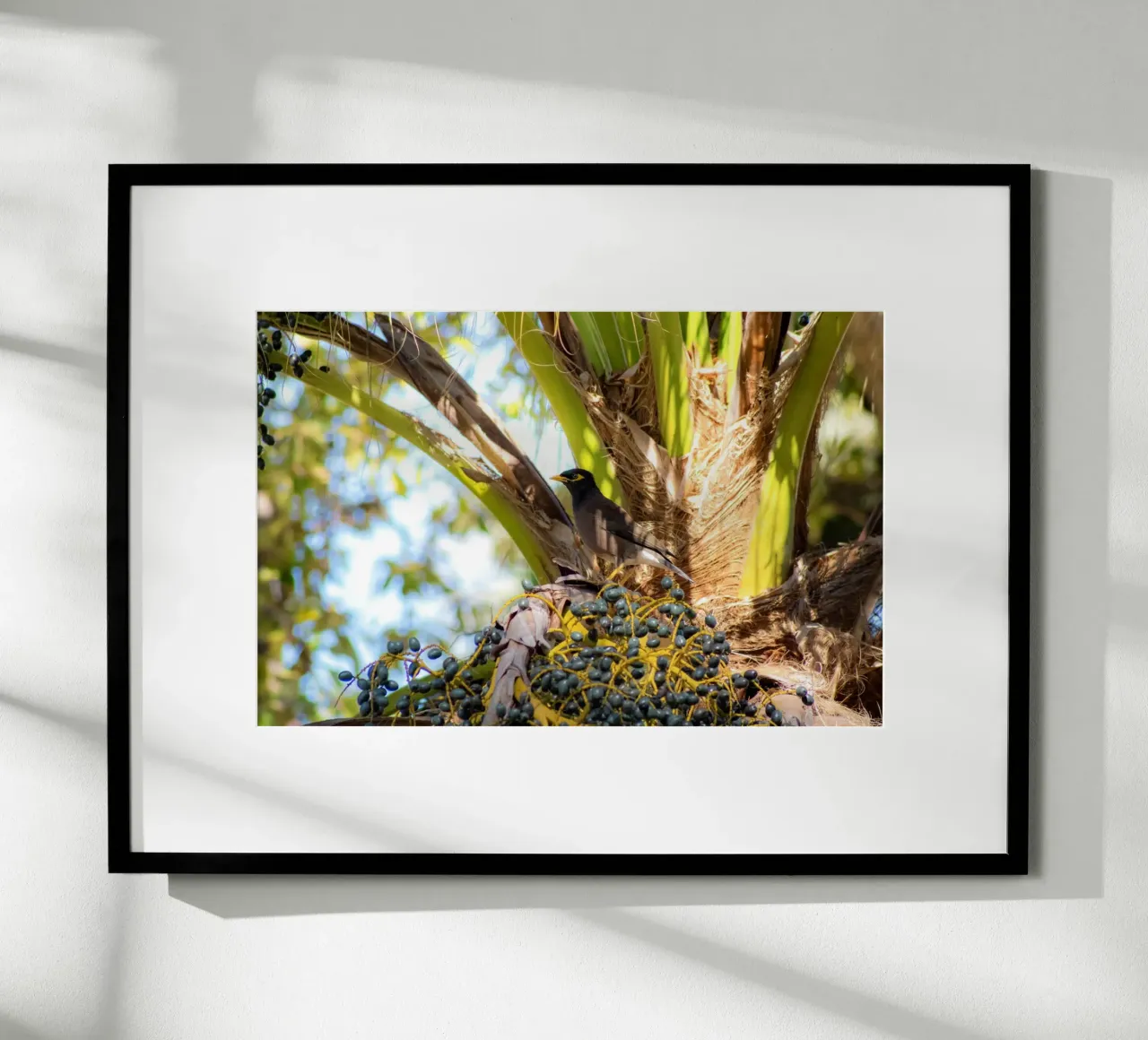 In the heart of the palm trees hahnemühle by Léa Lefebvre Photography