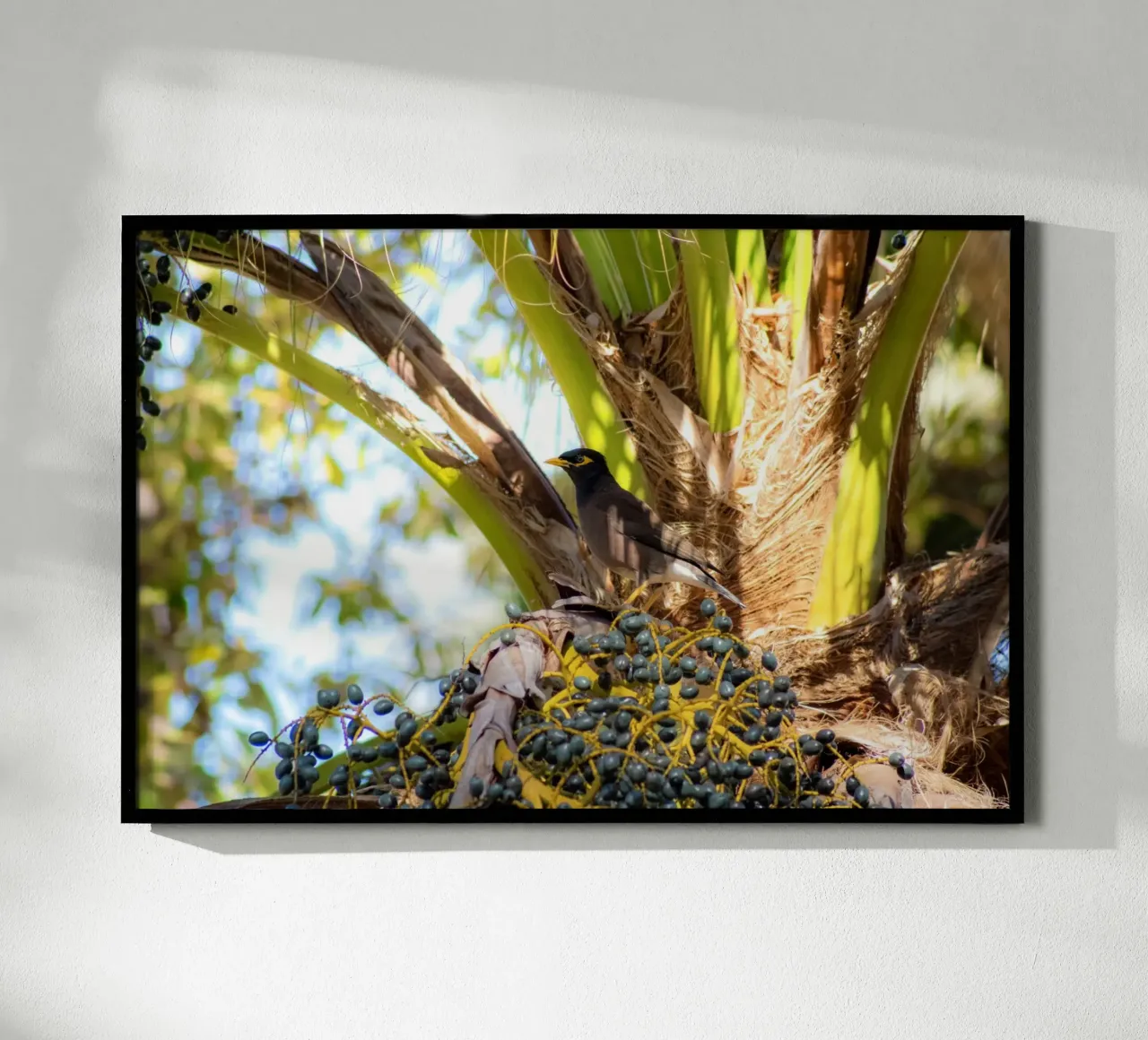 In the heart of the palm trees hahnemühle by Léa Lefebvre Photography
