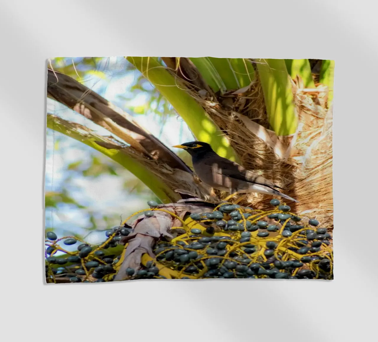 In the heart of the palm trees beach towel by Léa Lefebvre Photography