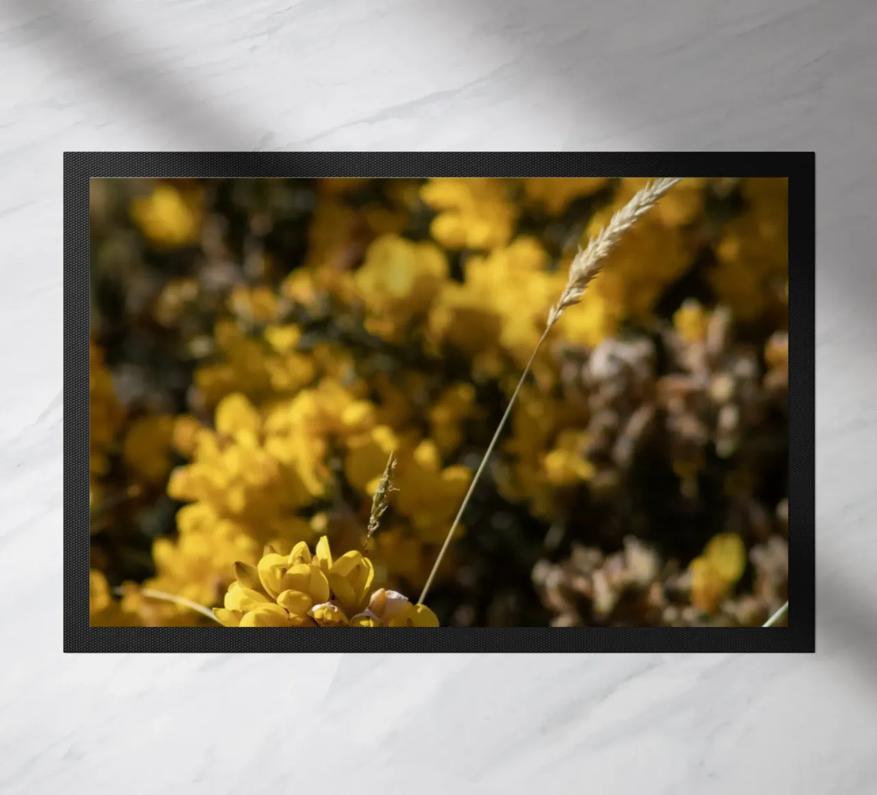 Fiori gialli zerbino da Léa Lefebvre Photography