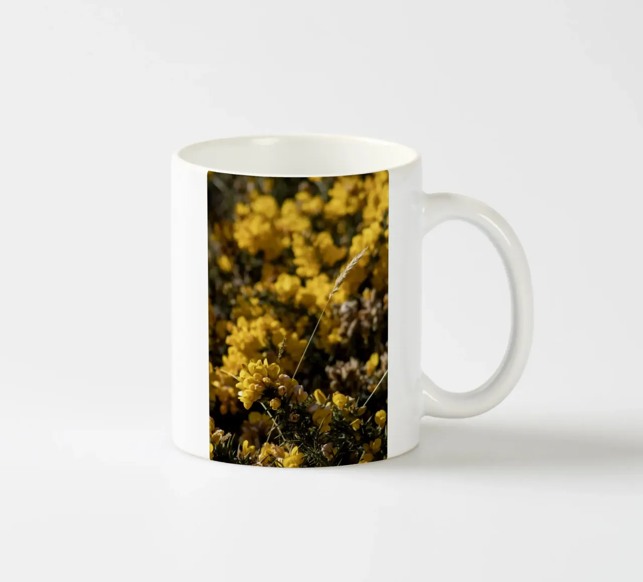 Fiori gialli tazza in ceramica da Léa Lefebvre Photography