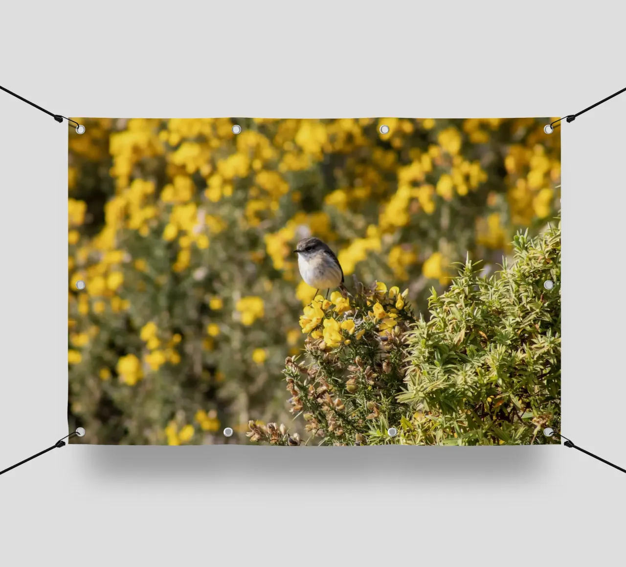 Un uccello su fiori gialli telo in pvc da Léa Lefebvre Photography