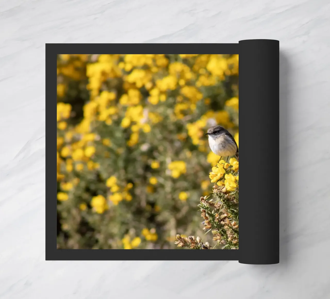 Un uccello su fiori gialli zerbino da Léa Lefebvre Photography
