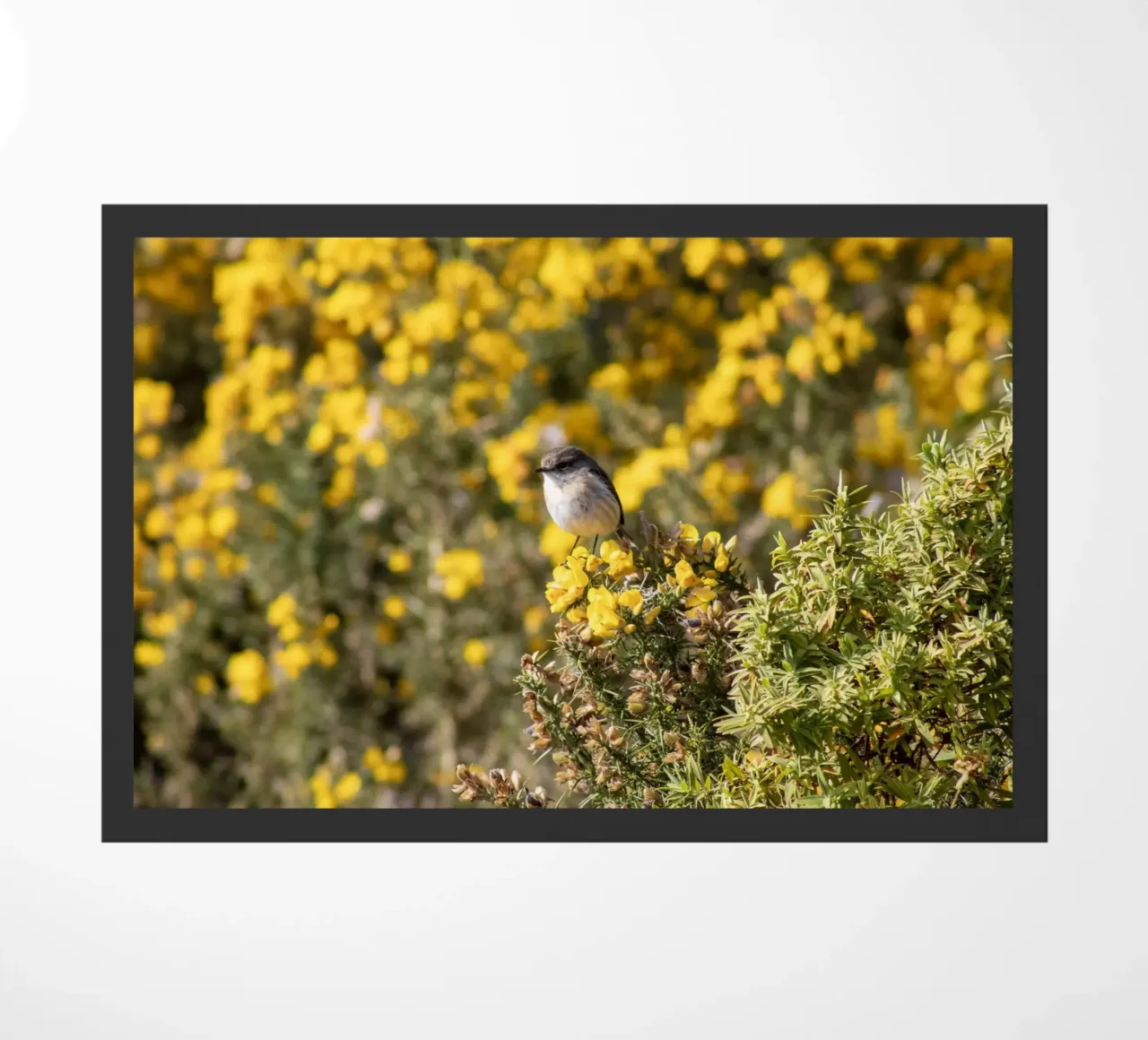 Un uccello su fiori gialli zerbino da Léa Lefebvre Photography