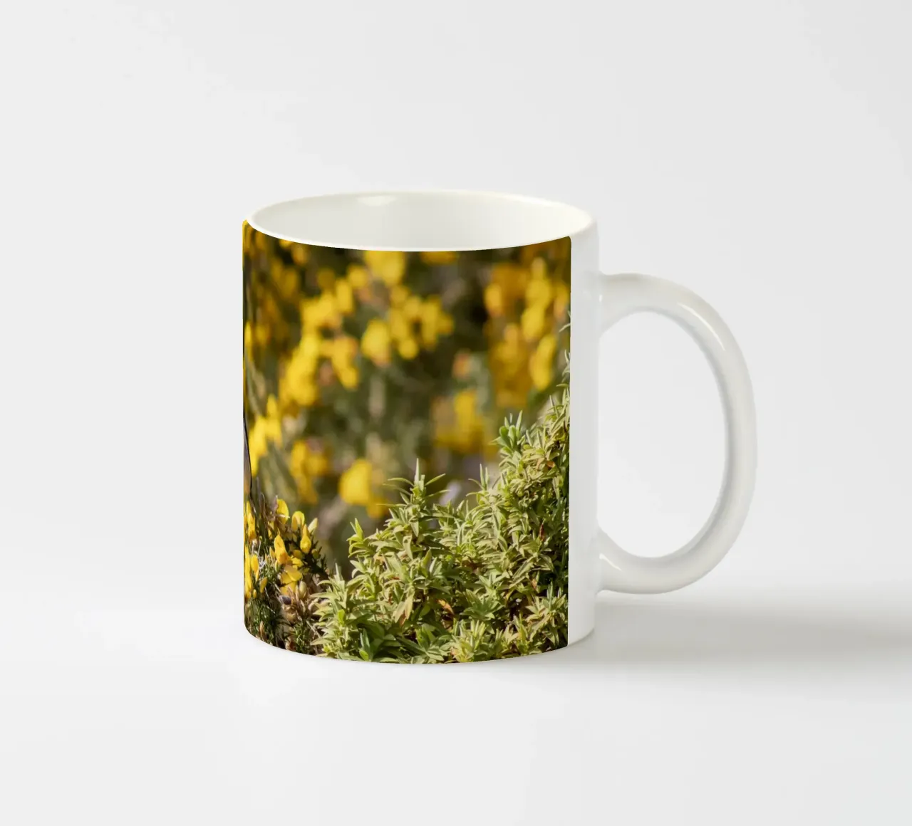 Un uccello su fiori gialli tazza in ceramica da Léa Lefebvre Photography