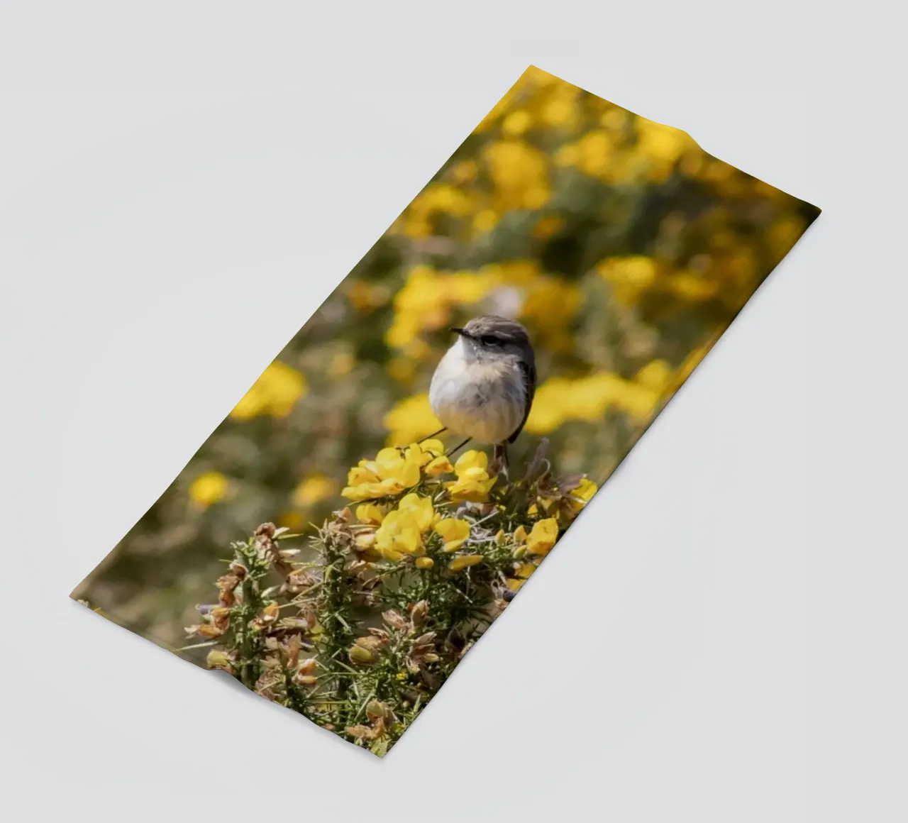 Un uccello su fiori gialli telo mare da Léa Lefebvre Photography