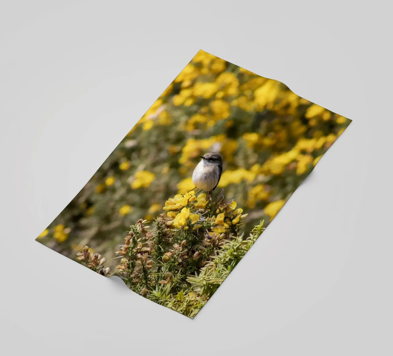 Un uccello su fiori gialli telo mare da Léa Lefebvre Photography