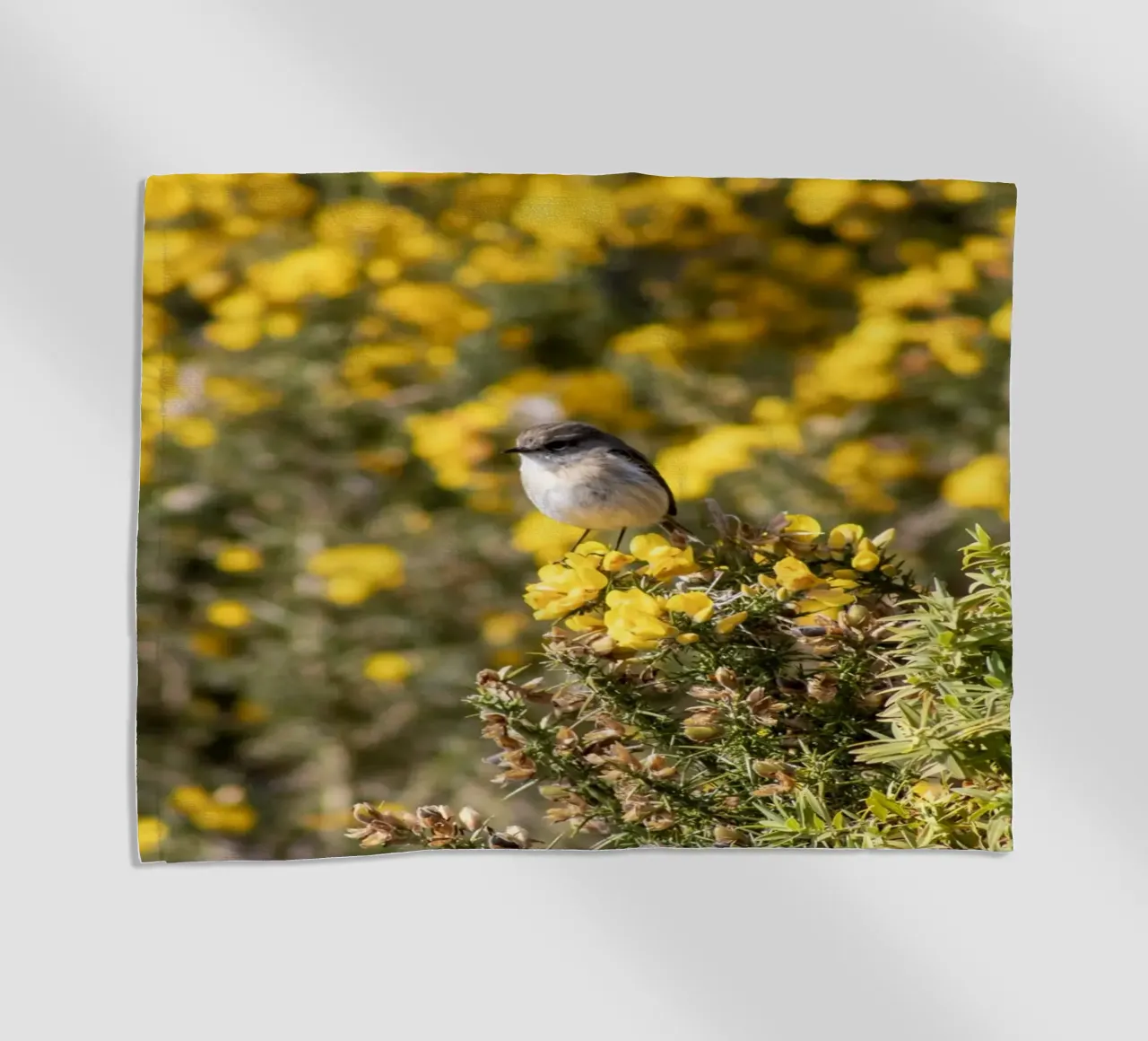 Un uccello su fiori gialli telo mare da Léa Lefebvre Photography