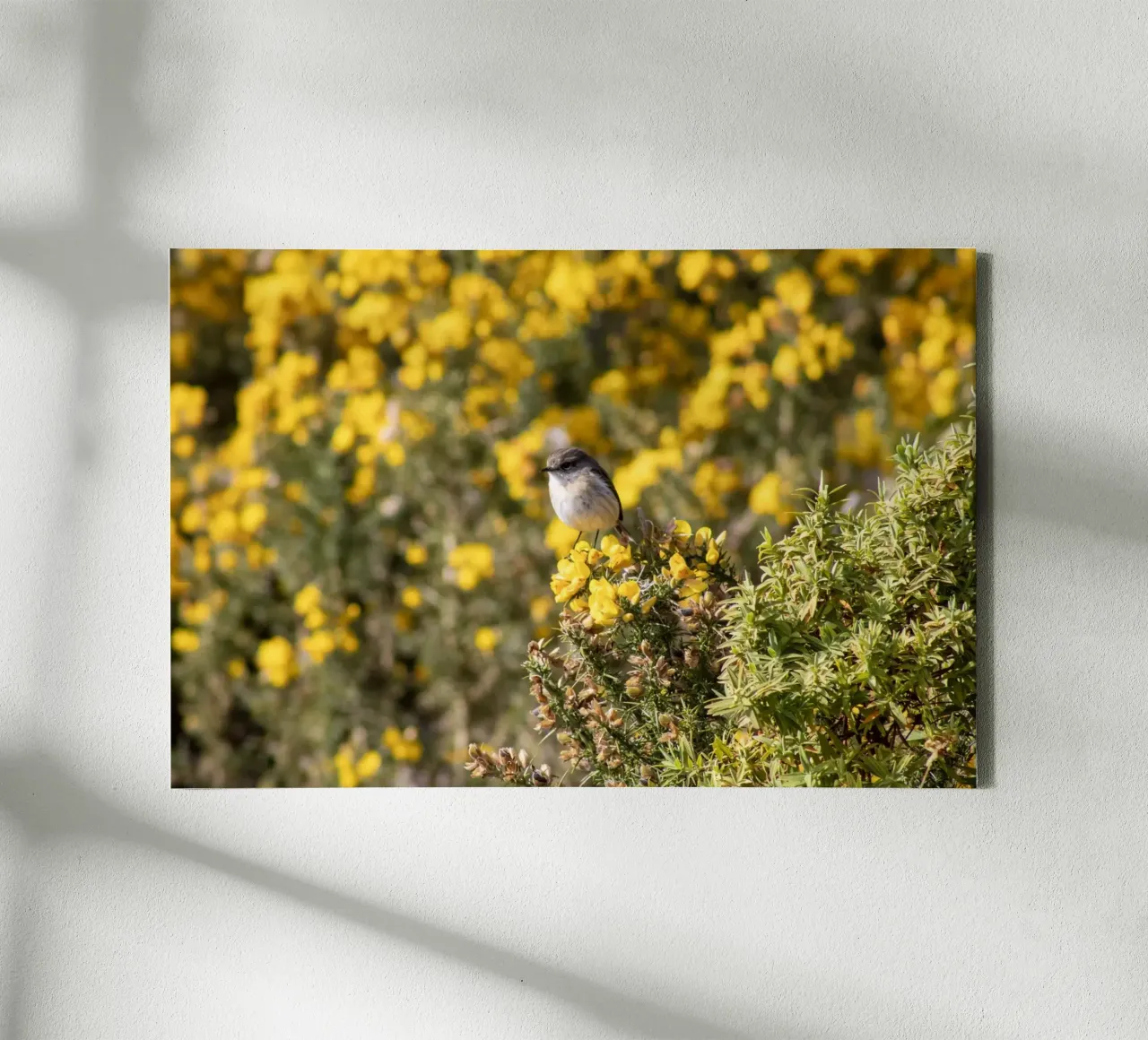 Un uccello su fiori gialli tela con Cornice a cassetta da Léa Lefebvre Photography
