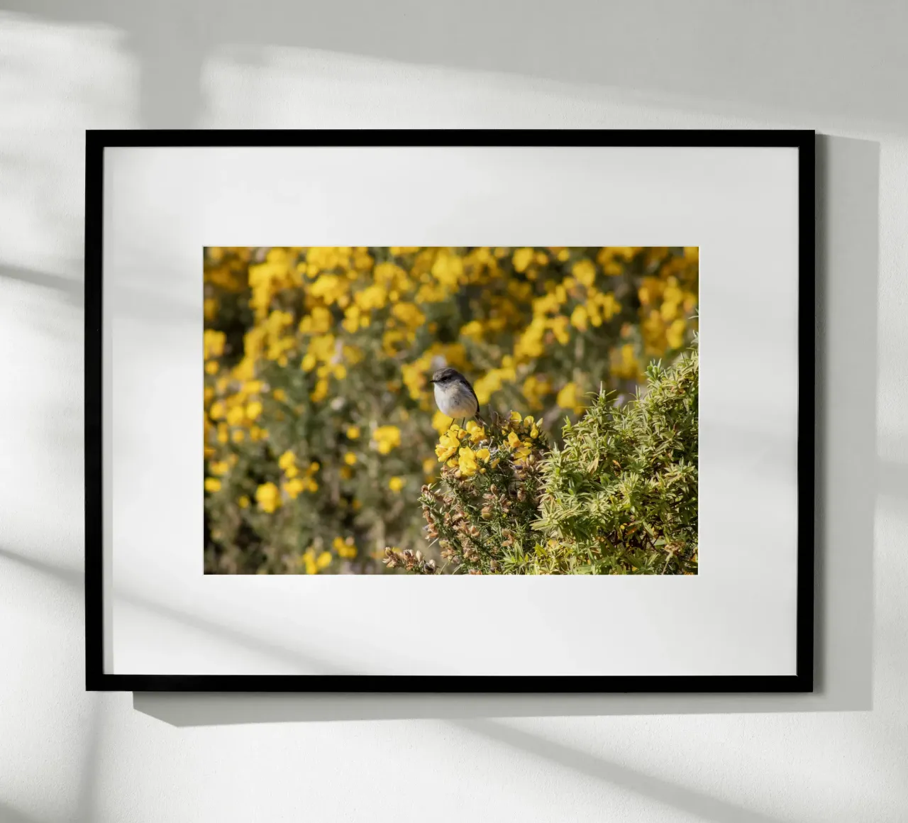 Un uccello su fiori gialli poster con telaio in legno da Léa Lefebvre Photography
