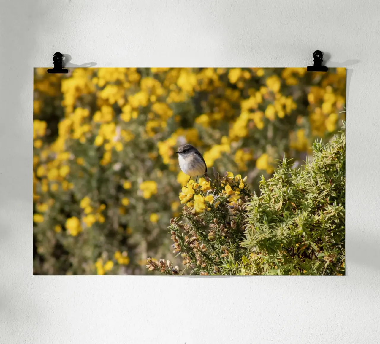 Un uccello su fiori gialli poster con telaio in legno da Léa Lefebvre Photography