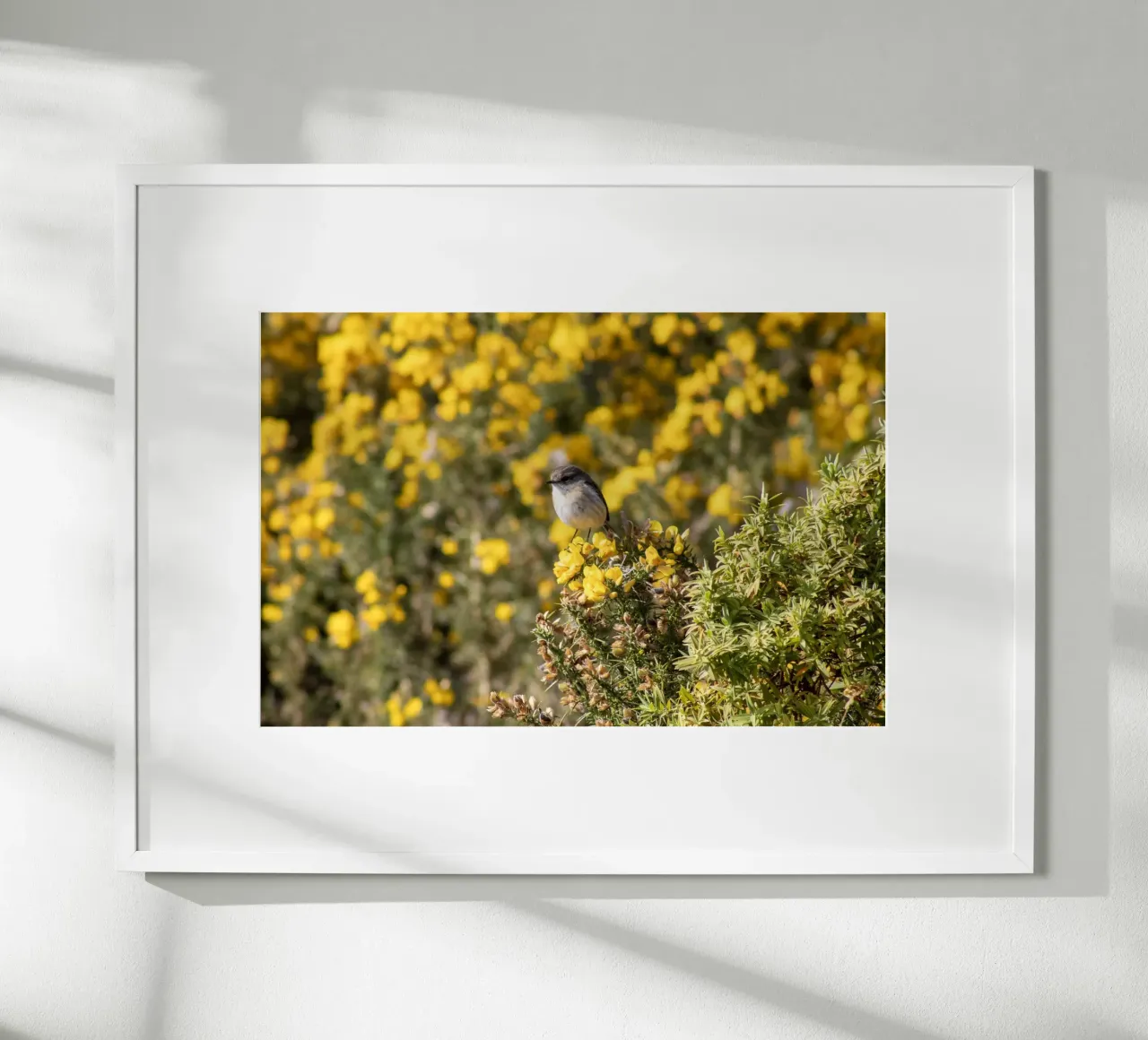 Un uccello su fiori gialli poster con telaio in legno da Léa Lefebvre Photography