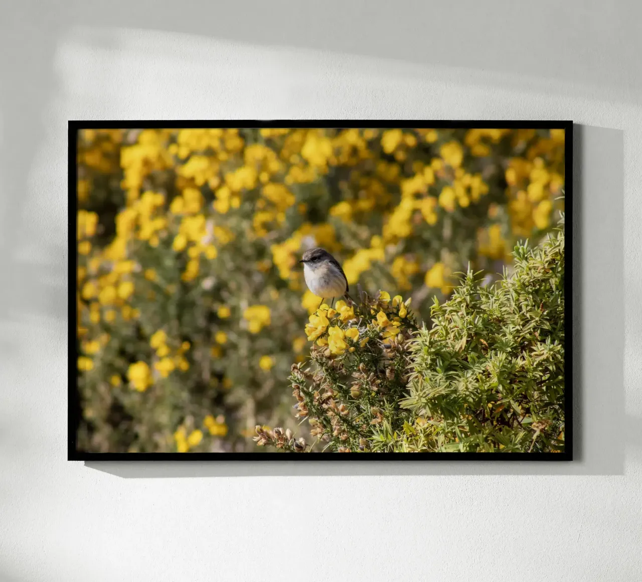 Un uccello su fiori gialli poster con telaio in legno da Léa Lefebvre Photography