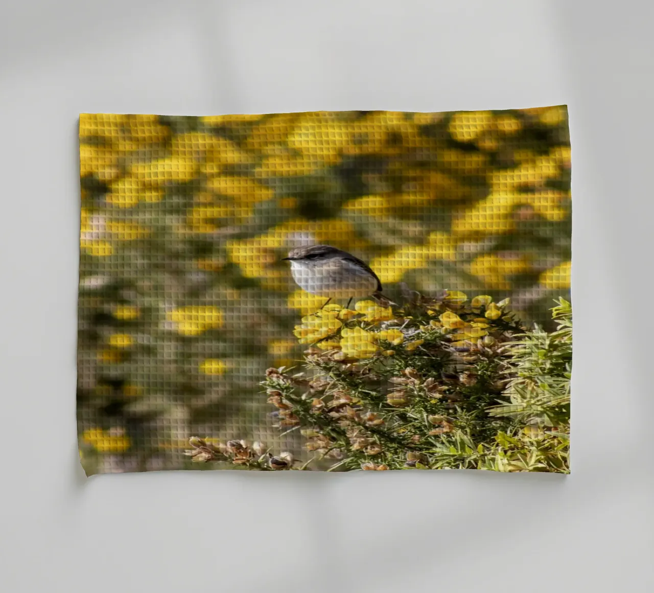 Un uccello su fiori gialli canovaccio da cucina da Léa Lefebvre Photography