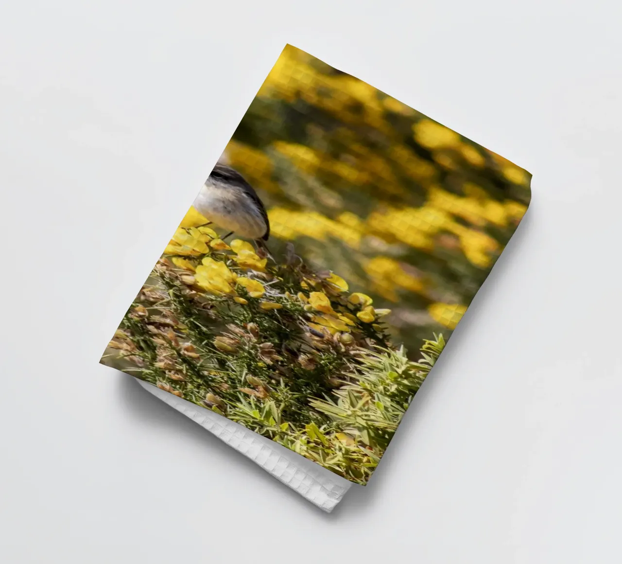 Un uccello su fiori gialli canovaccio da cucina da Léa Lefebvre Photography