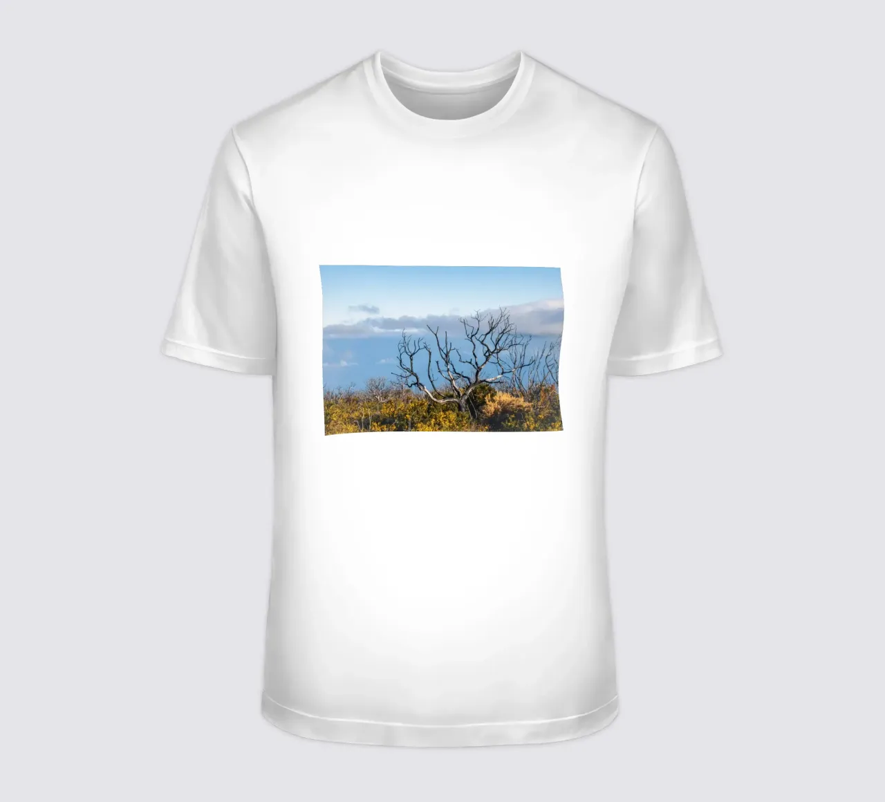 Albero spoglio su una collina t-shirt da Léa Lefebvre Photography