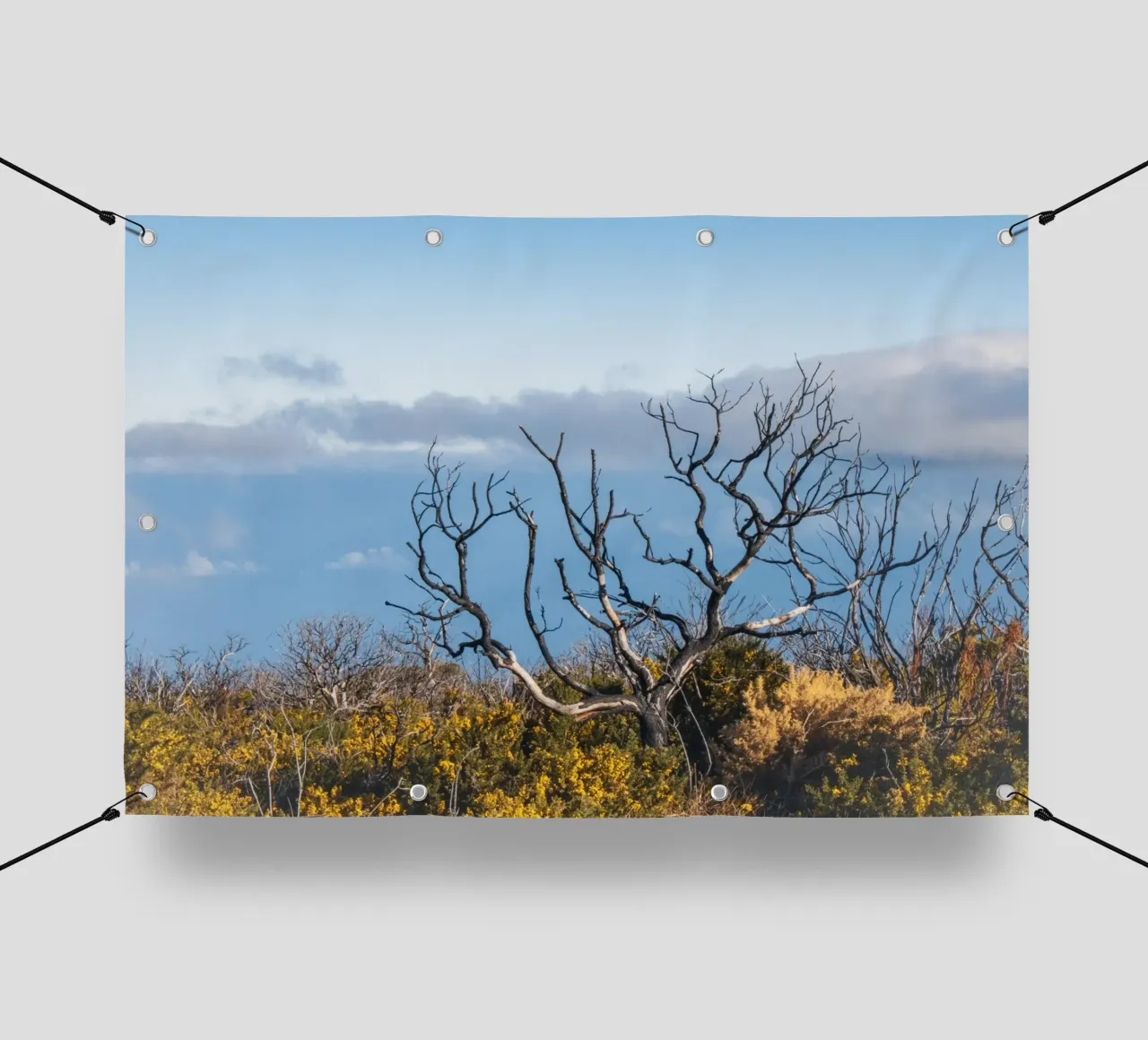 Albero spoglio su una collina telo in pvc da Léa Lefebvre Photography